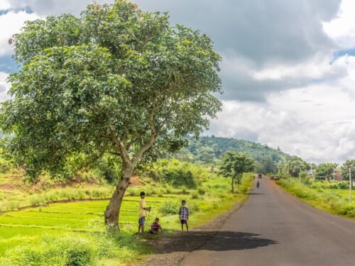 sky, tree, nature, landscape, clouds, araku valley, hill station, vizag, visakhapatnam, andhra pradesh, india, kids, tribes, scenery, forest, road, hill station, hill station, hill station, hill station, vizag, vizag, visakhapatnam, visakhapatnam, visakhapatnam, andhra pradesh, andhra pradesh, andhra pradesh, andhra pradesh, andhra pradesh